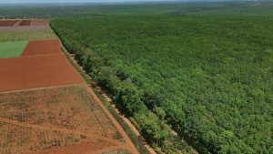 Bán đất KCN tại Đắk Lắc giá rẻ